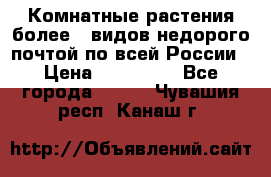 Комнатные растения более200видов недорого почтой по всей России › Цена ­ 100-500 - Все города  »    . Чувашия респ.,Канаш г.